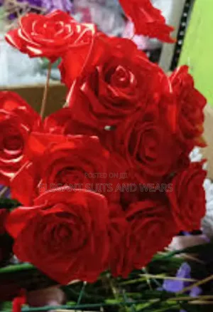 Bunch of Roses 