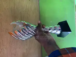 Big Silver Trophy