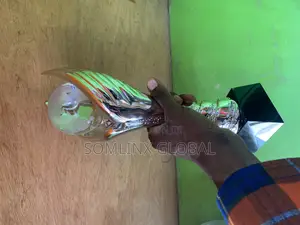 Big Silver Trophy