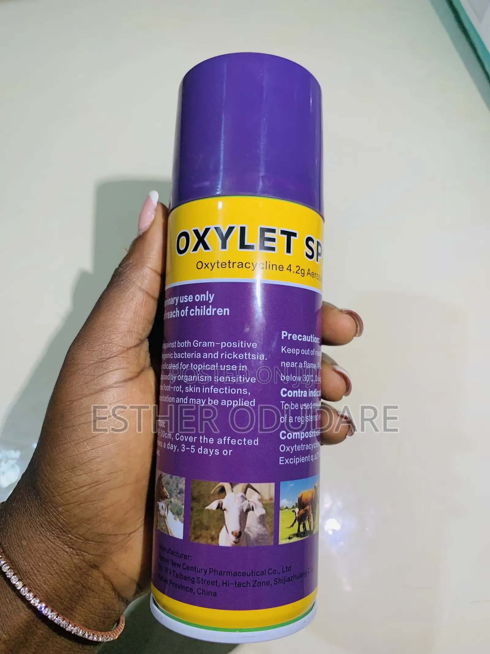 Mobile Pet Care and Accesories Services