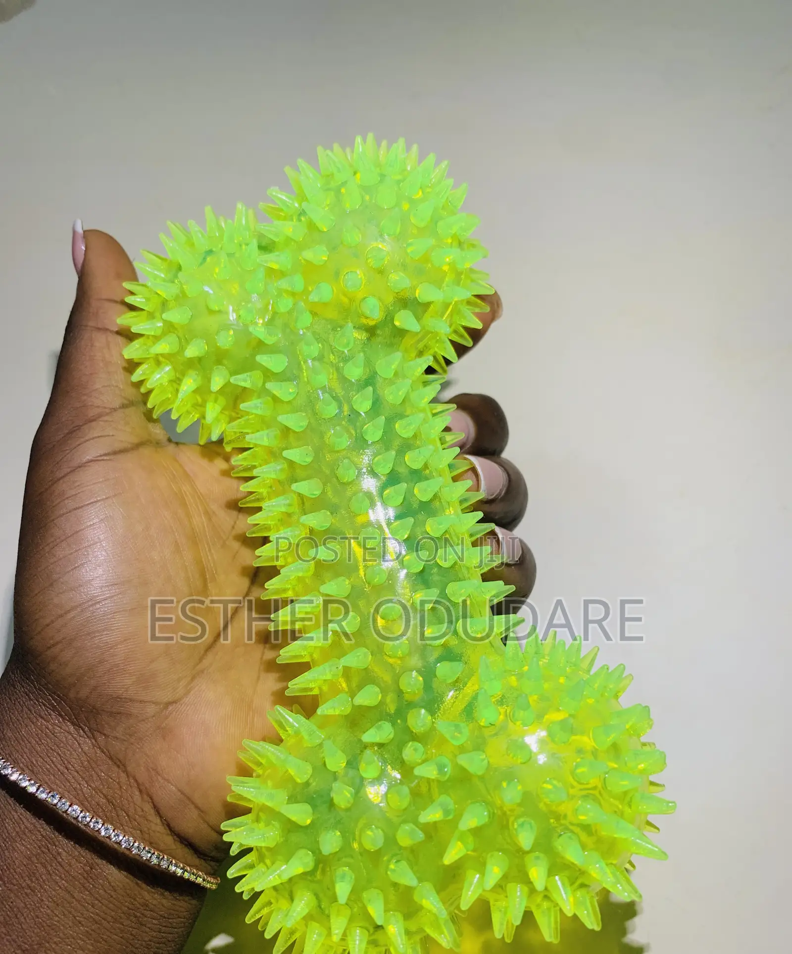 Mobile Pet Care and Accesories Services