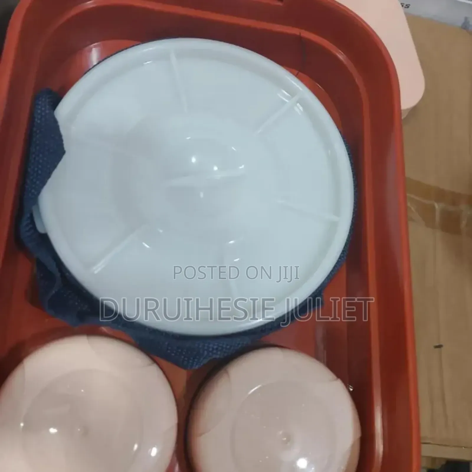 Potluck Lunch Box