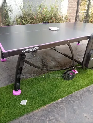 Table Tennis Outdoor/Indoor