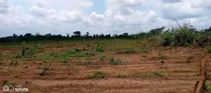 5.5 HCT in Akoyitapi Orozo
 55 Plots