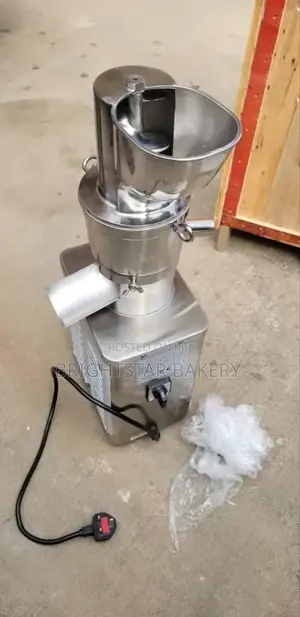 Industrial Juicer