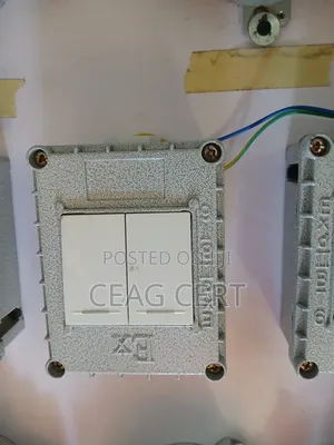 2gang and 1gang Ex Switch Atex