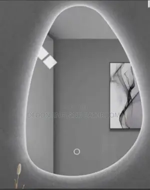 Egg Shape Led Mirror