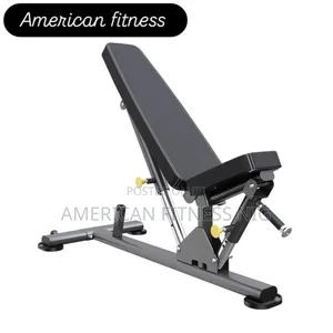 Commercial Adjustable Bench