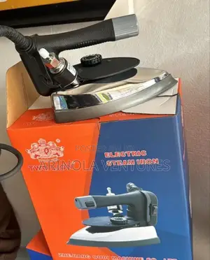 Twolion Steam Iron #