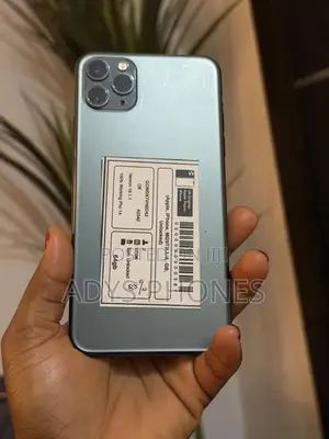 Apple iPhone 11 Pro Max 64 GB Gray