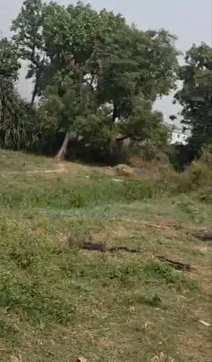 New in the Market Location: Jahi Plot : 2736 Size : 1,370.04 M2