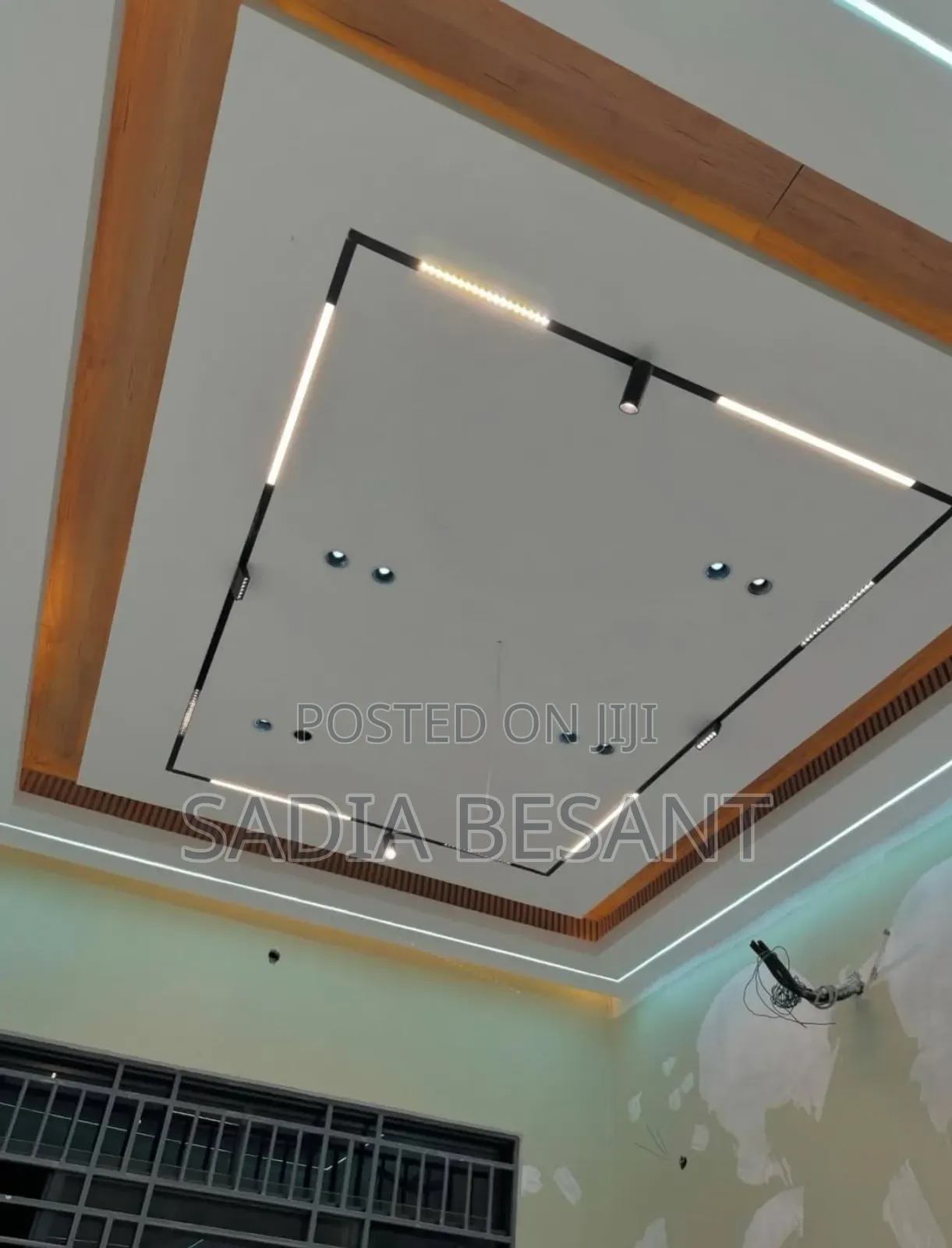 Elegant Gypsum Ceiling Work