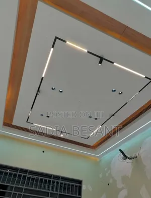 Elegant Gypsum Ceiling Work