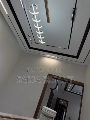 Elegant Gypsum Ceiling Work