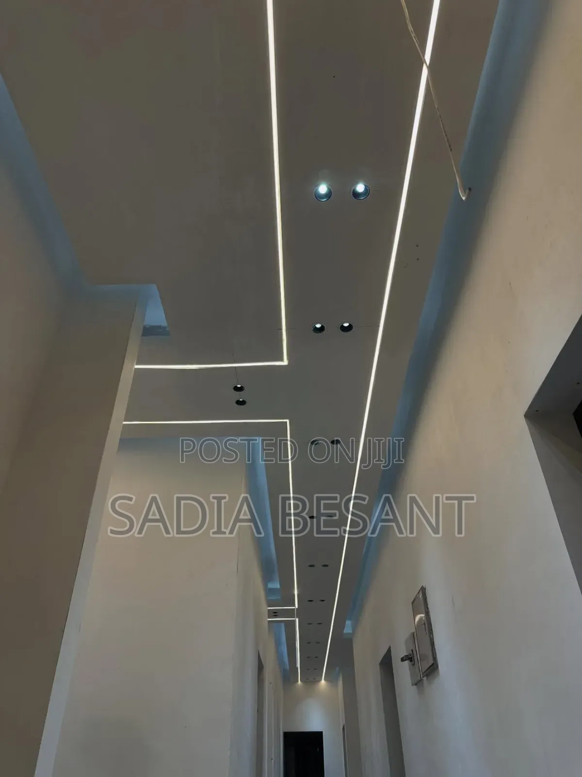 Elegant Gypsum Ceiling Work