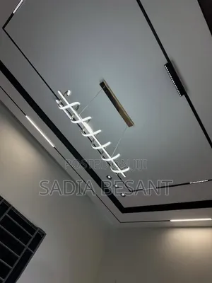 Elegant Gypsum Ceiling Work