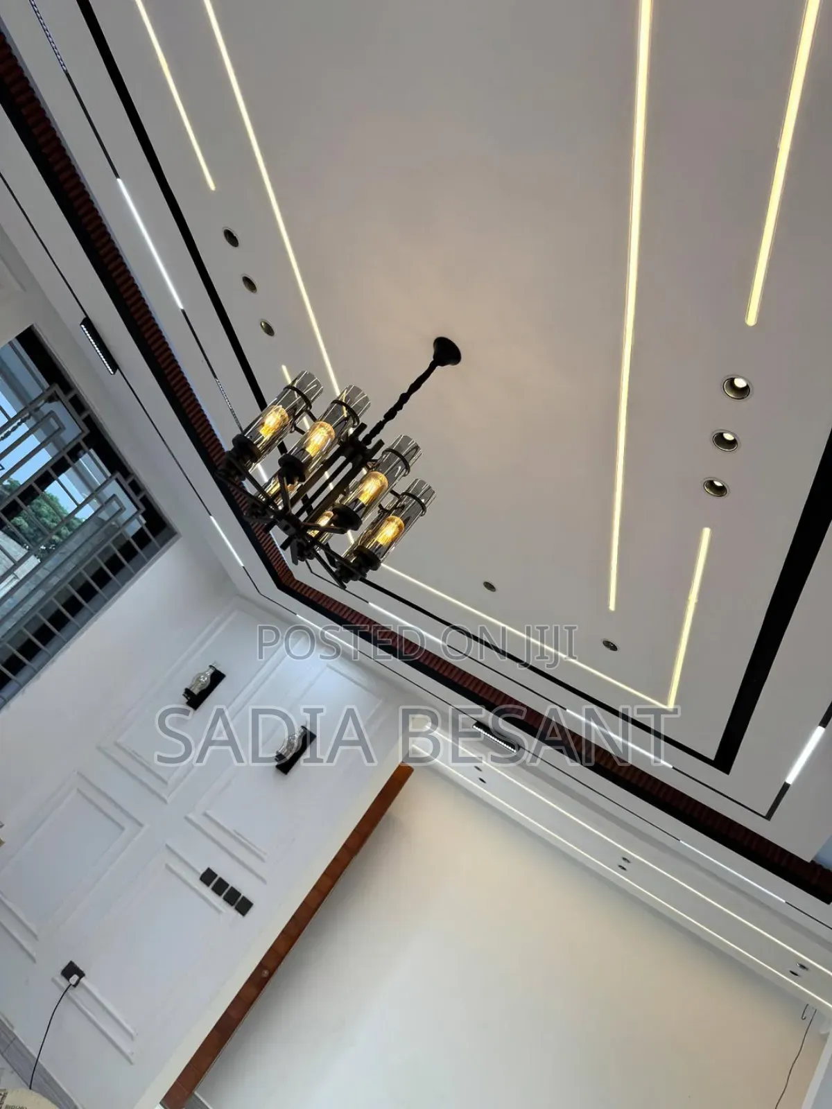 Expert Ceiling Detailing