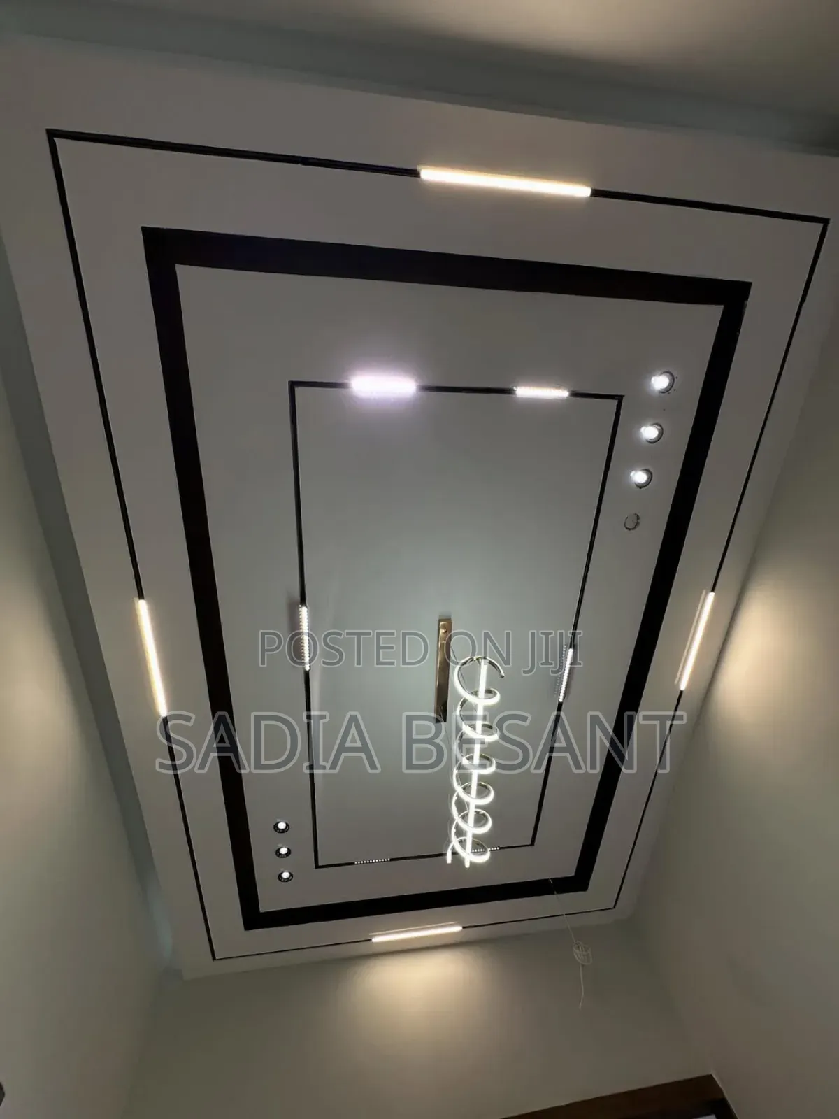 Expert Ceiling Detailing
