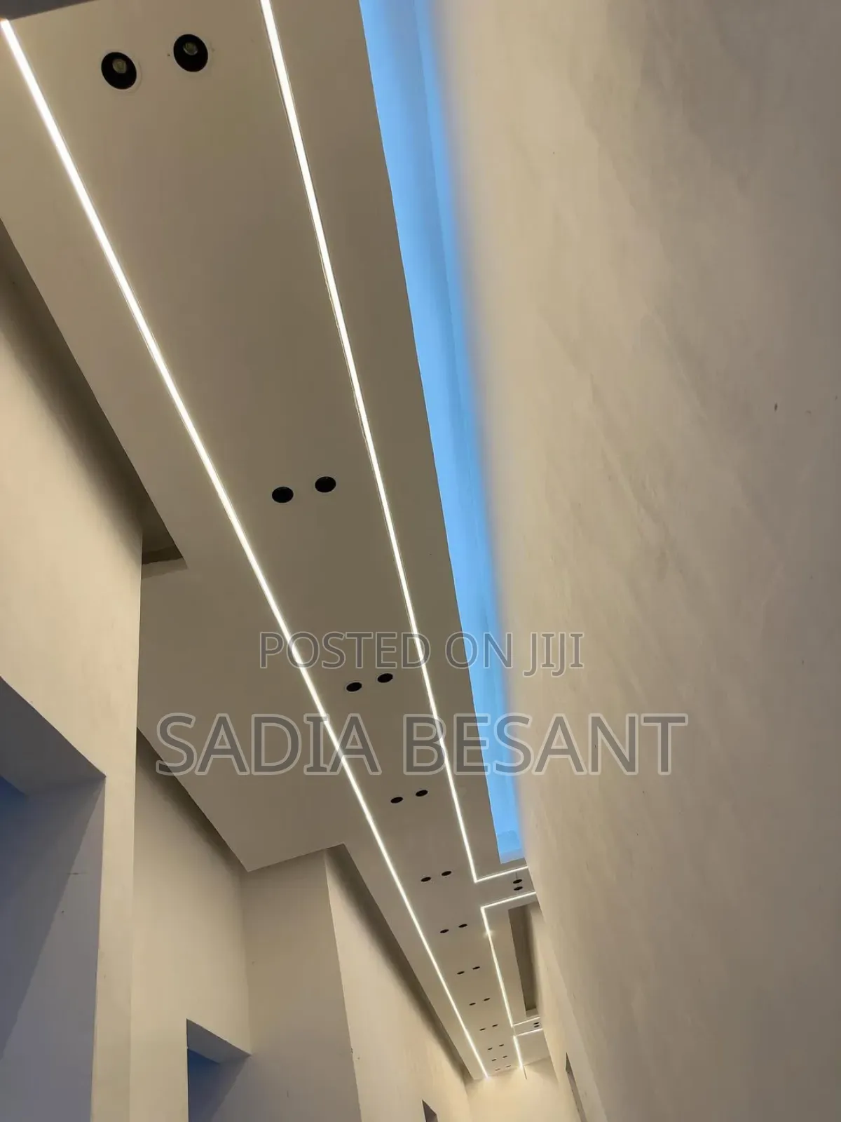 Expert Ceiling Detailing