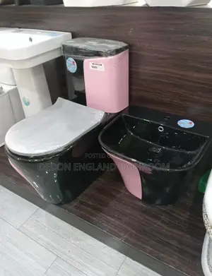 Complete Set of Luxury England Wc