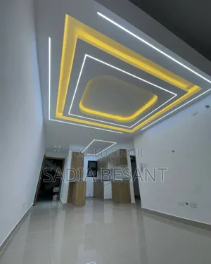 Ceiling Transformation in Progress