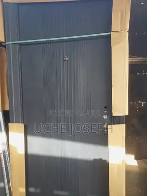 Made in China Security Door