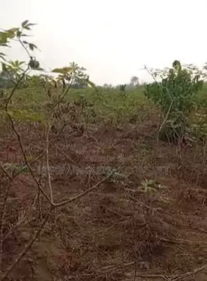 For Sale* *5 HCTRS of Land Is Available*