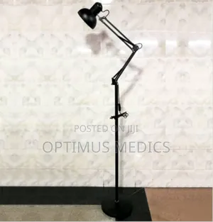 Angel Poise Lamp