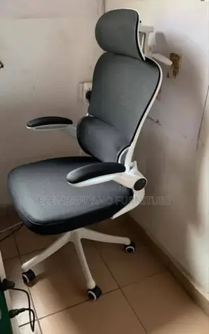Ergonomic Adjustable Swivel Chair