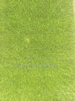 Made in African Artificial Grass Carpet