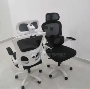 Ergonomic Adjustable Swivel Chair