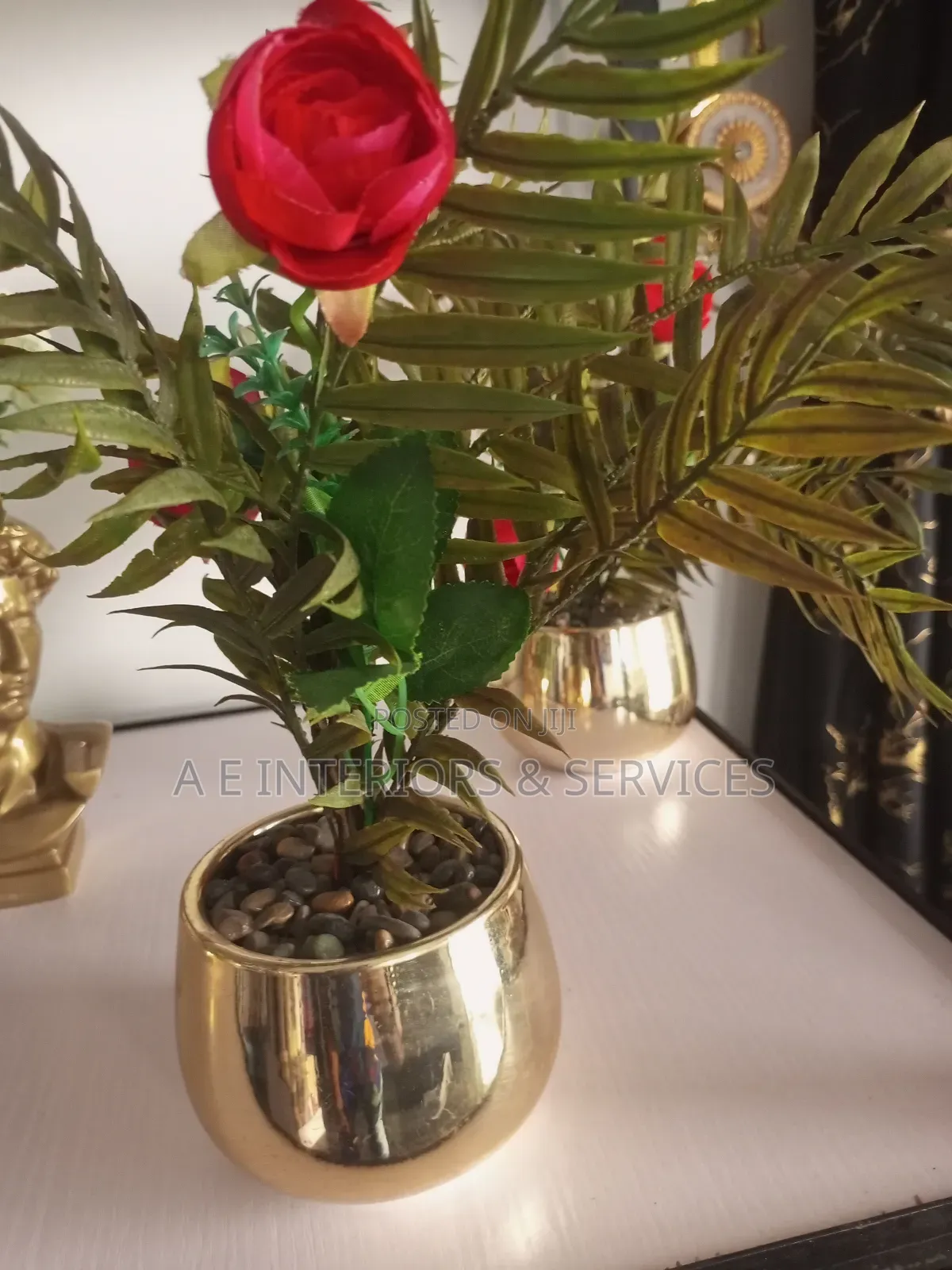 Tabletop Flowers And Plants