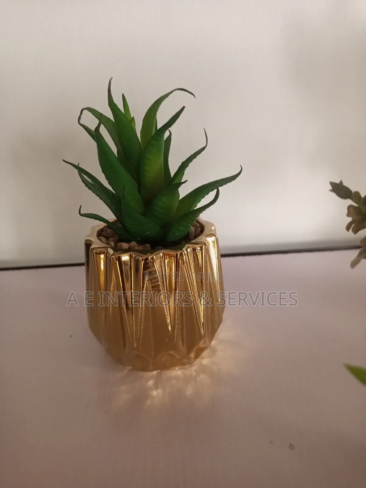 Tabletop Flowers And Plants