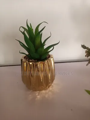 Tabletop Flowers And Plants