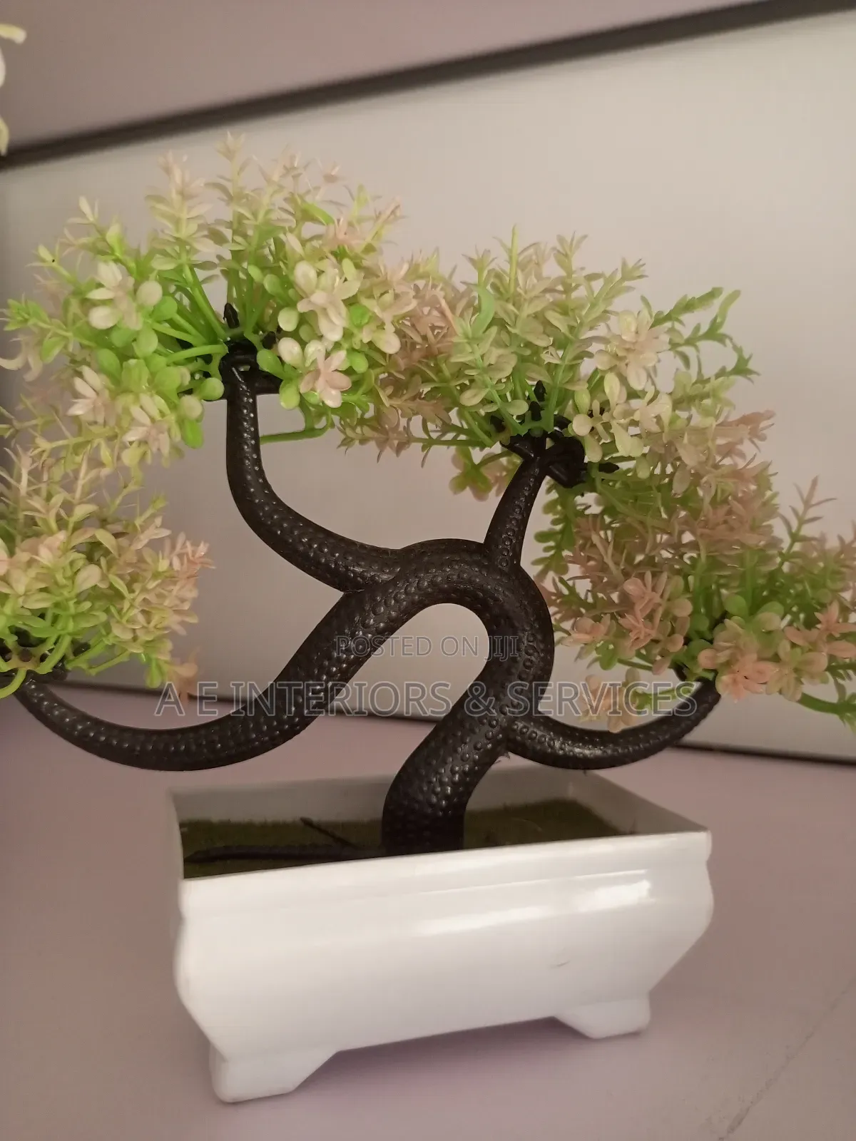 Small Flowers And Plants