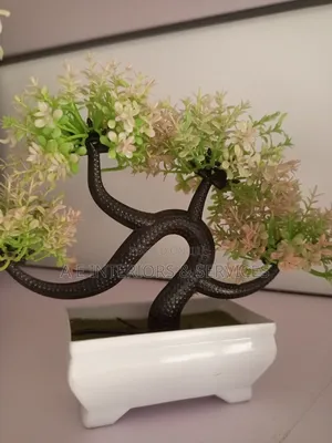 Small Flowers And Plants