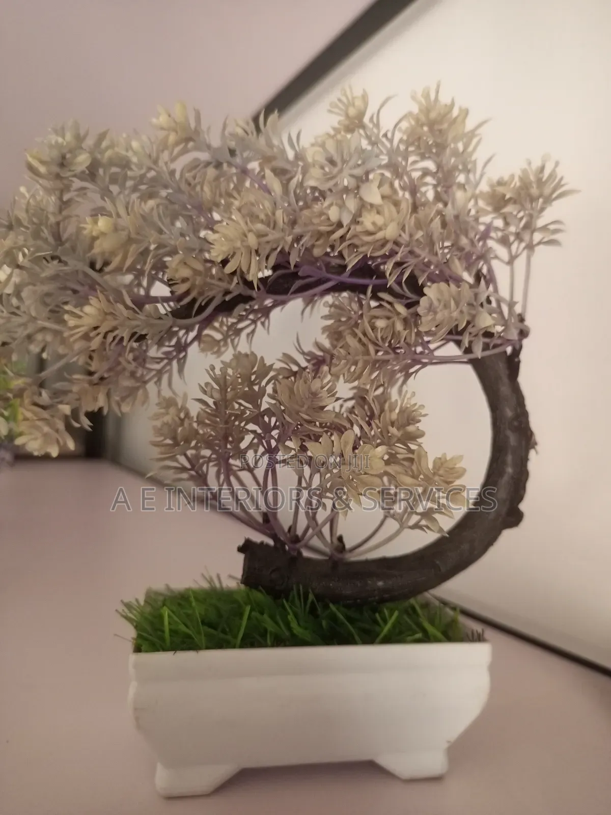 Small Flowers And Plants