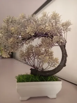 Small Flowers And Plants