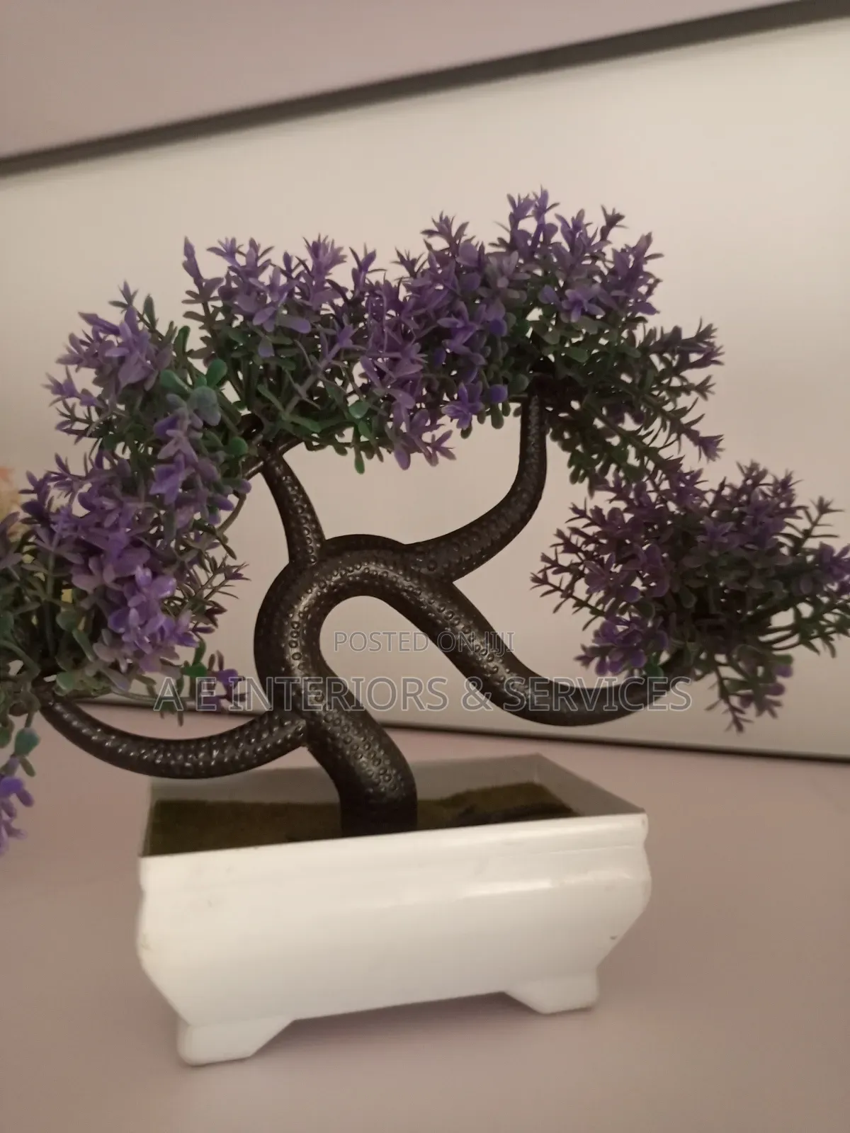 Small Flowers And Plants