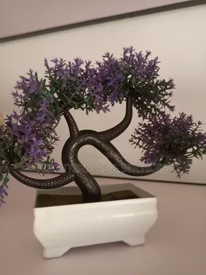Small Flowers And Plants