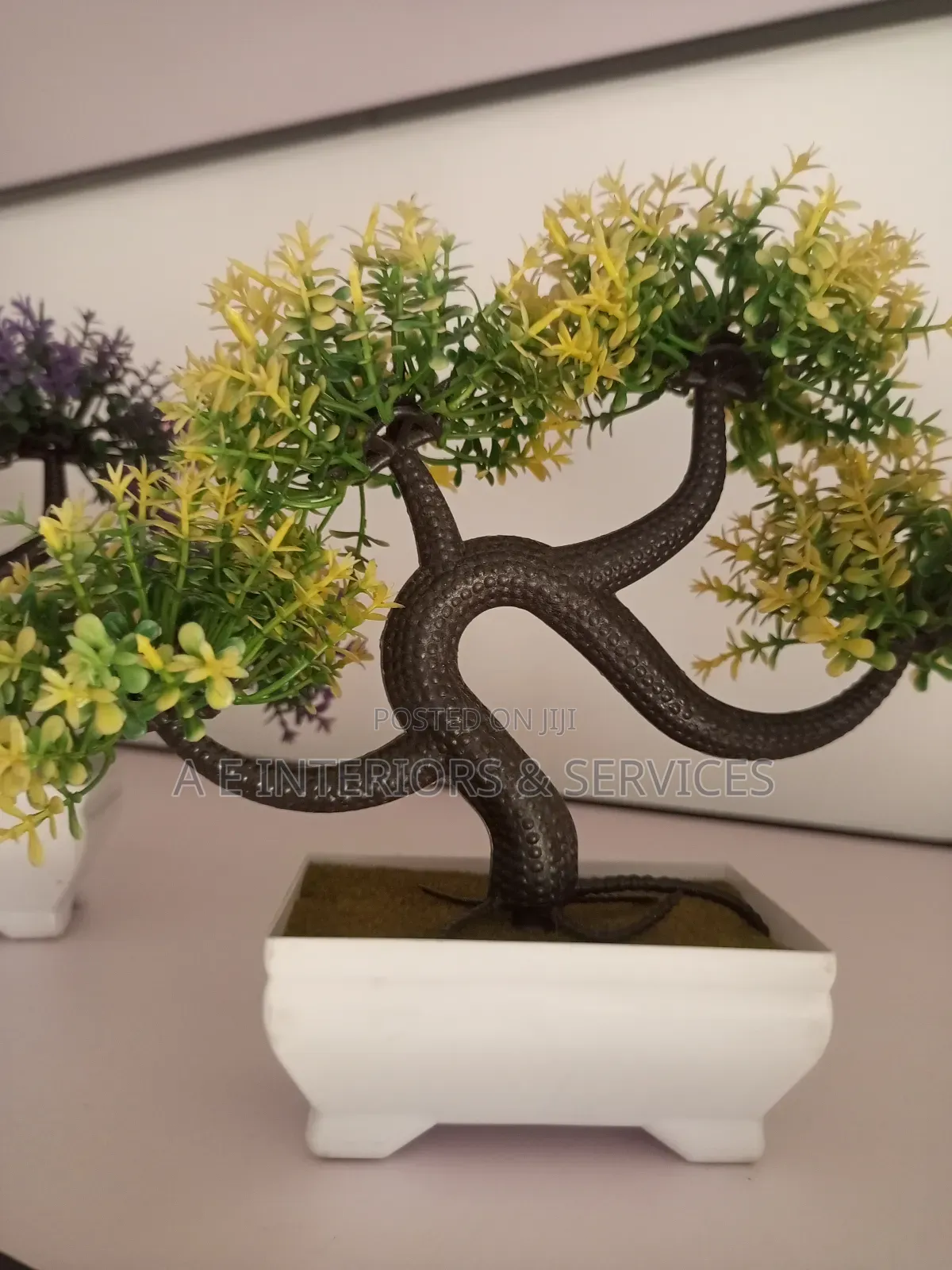 Small Flowers And Plants