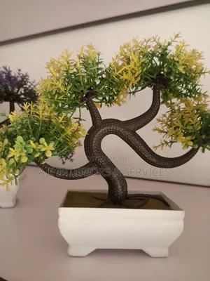 Small Flowers And Plants