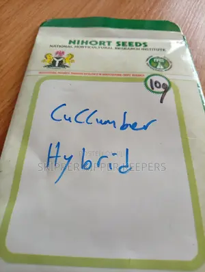 Cucumber Seeds