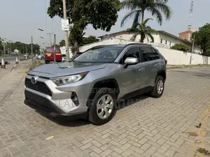 Toyota RAV4 LE AWD 2019 Silver