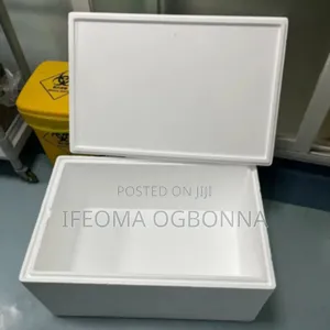 30 Liters Styrofoam Box