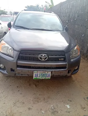 Toyota RAV4 2010 Gray