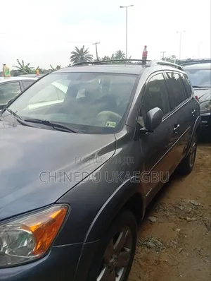 Toyota RAV4 2010 Gray