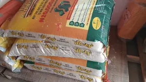 Mango Rice
