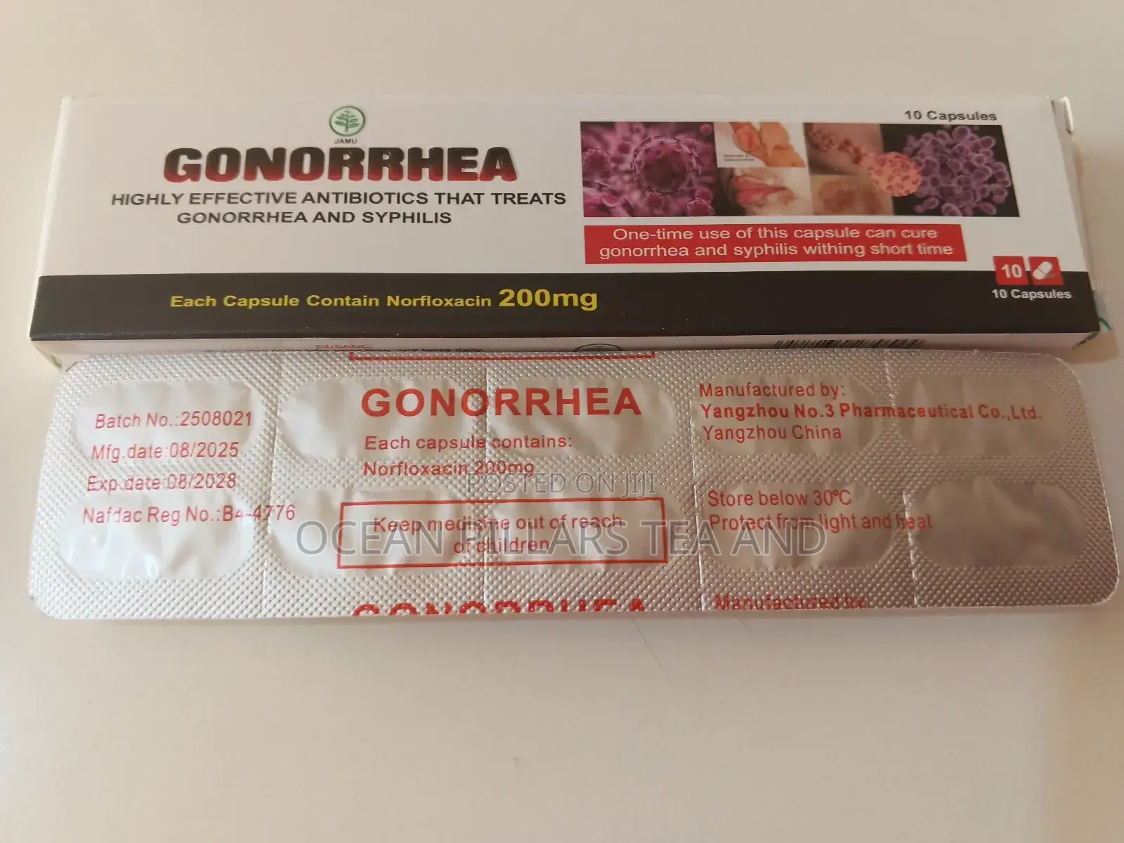 Gonorrhea and Syphilis Infection Capsule