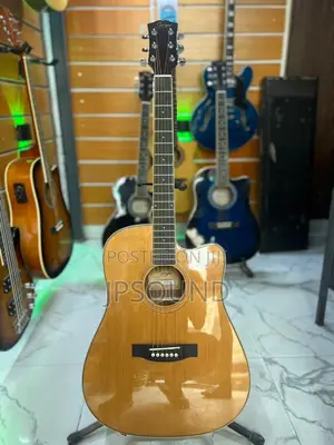 Semi Acoustic Guitar